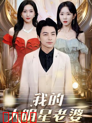 我的大明星老婆