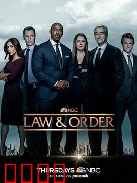 法律与秩序第二十二季