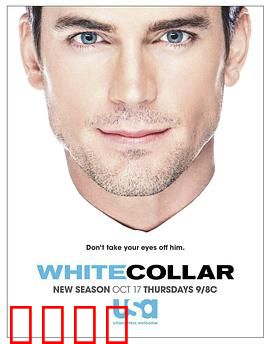 妙警贼探第五季