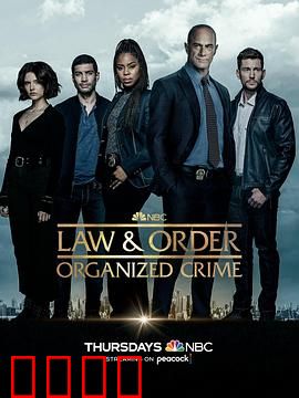 法律与秩序：组织犯罪第三季