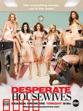 绝望主妇第三季