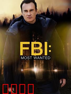 联邦调查局：通缉要犯第三季