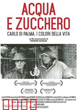 水与糖：摄影家卡洛·迪·帕尔马的生活与色彩