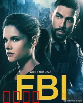 联邦调查局第五季