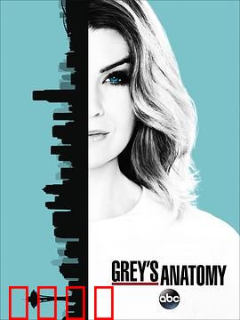 实习医生格蕾第十三季