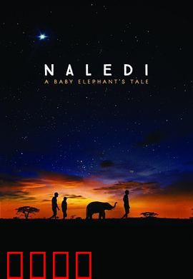 纳勒迪：一只小象的故事