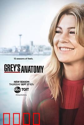 实习医生格蕾第十五季