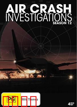 空中浩劫第十二季