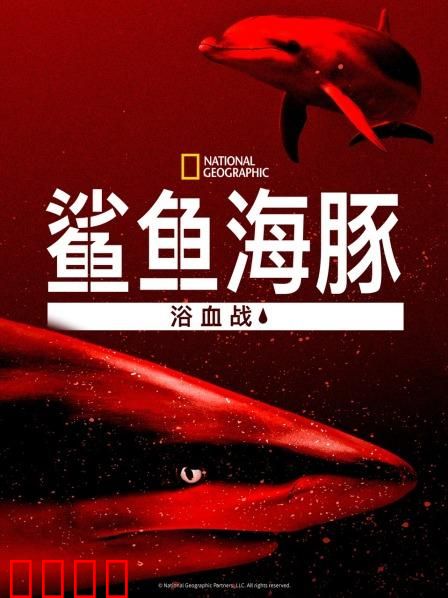 鲨鱼海豚浴血战