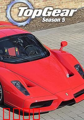 巅峰拍档第五季