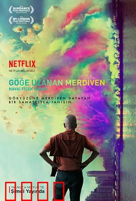 天梯：蔡国强的艺术