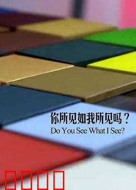 你所见如我所见吗