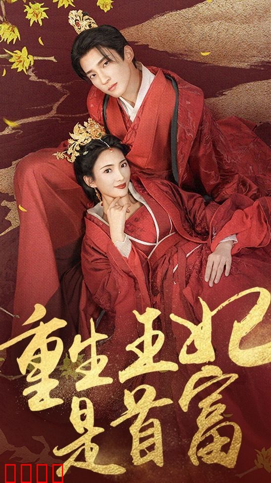 重生王妃是首富