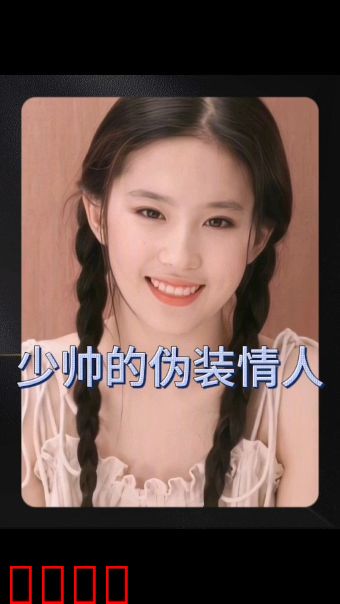 少帅的伪装情人