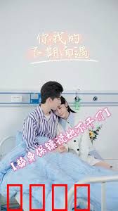 替身保镖说她不干了