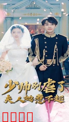 少帅别虐了夫人她惹不起