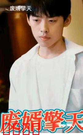废婿擎天