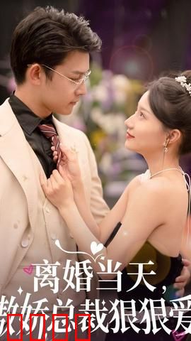 离婚当天，傲娇总裁狠狠爱