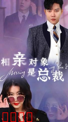 相亲对象是总裁