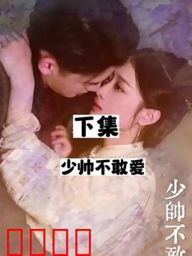 少帅不敢爱