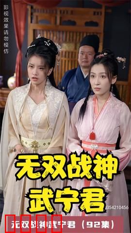 无双战神武宁君