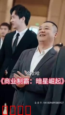 商业制霸：暗星崛起