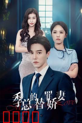 季总的替罪娇妻