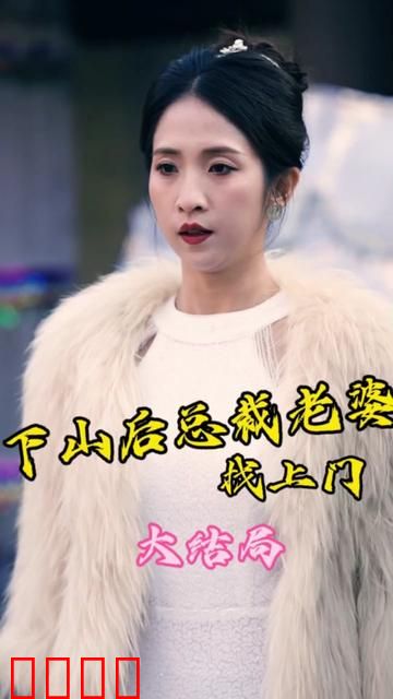 下山后总裁老婆找上门