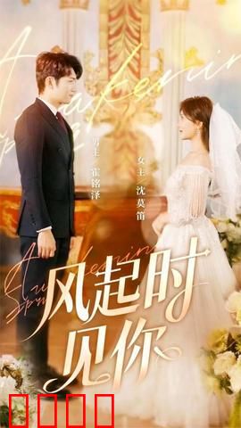 风起时见你