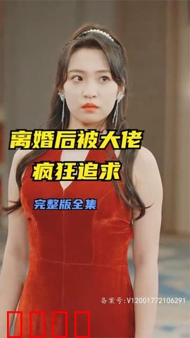 离婚后被大佬疯狂追求