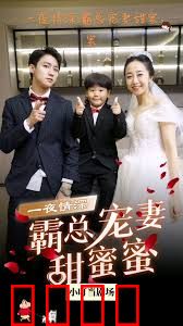 霸总宠妻甜蜜蜜