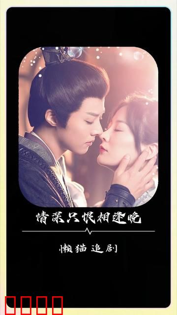 情深只恨相逢晚