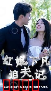 红娘下凡追夫记