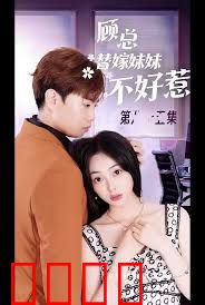 顾总替嫁妹妹不好惹