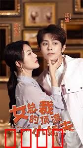 女总裁的顶流小娇夫