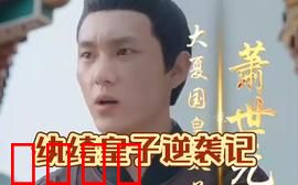 纨绔皇子逆袭记