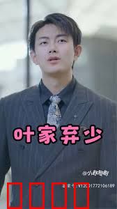 叶家弃少