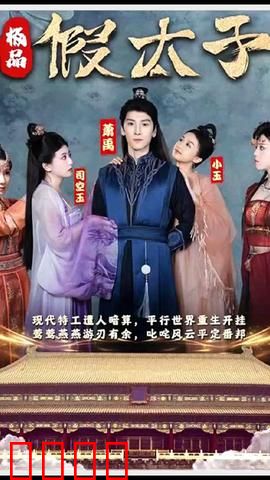 极品假太子（穿越剧）