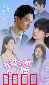 我被总裁骗了婚