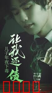 儿子年夜下毒让我还债