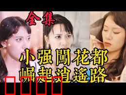 小强闯花都崛起逍遥路