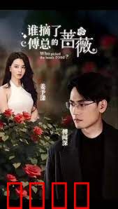 谁摘了傅总的蔷薇