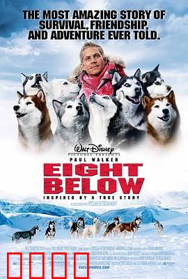 南极大冒险(剧情解说）