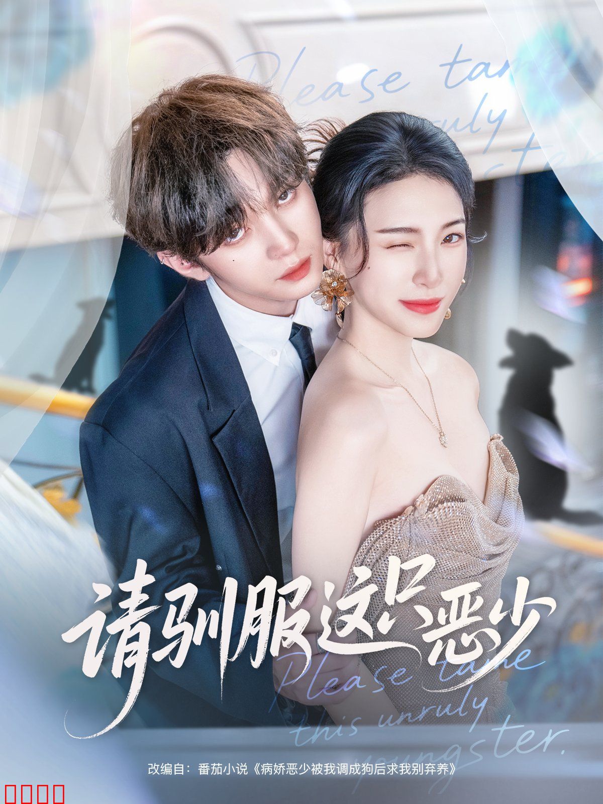 请驯服这只恶少
