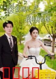 爱意燃尽，我转身高嫁