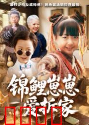 锦鲤崽崽爱拆家