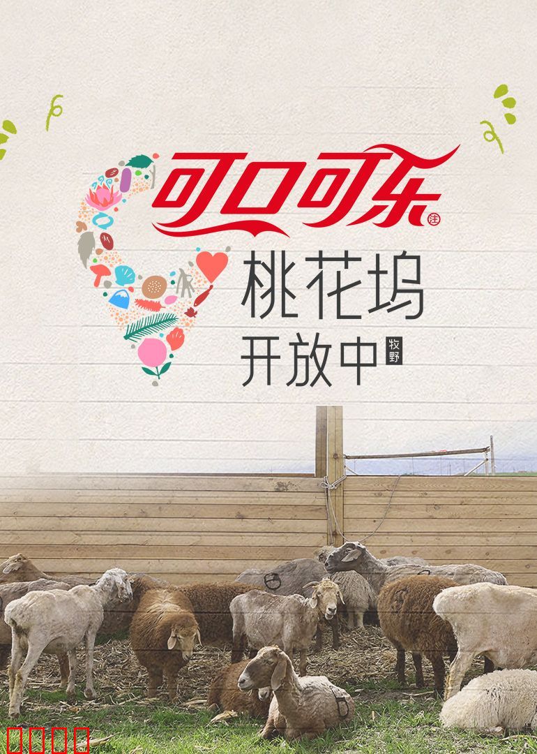 桃花坞开放中第四季