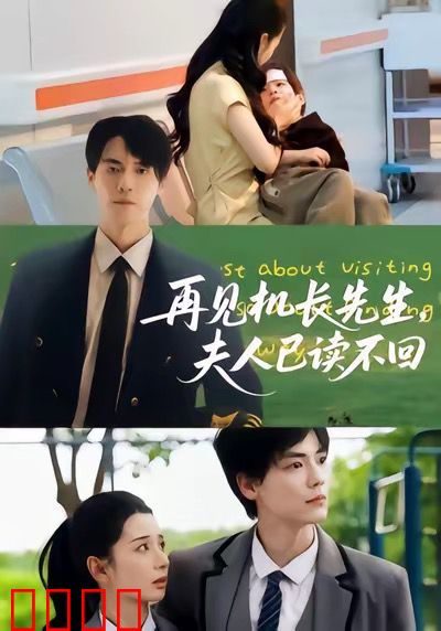 再见机长先生夫人已读不回