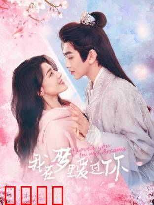 我在梦里爱过你