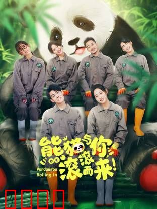 熊猫与你，滚滚而来！